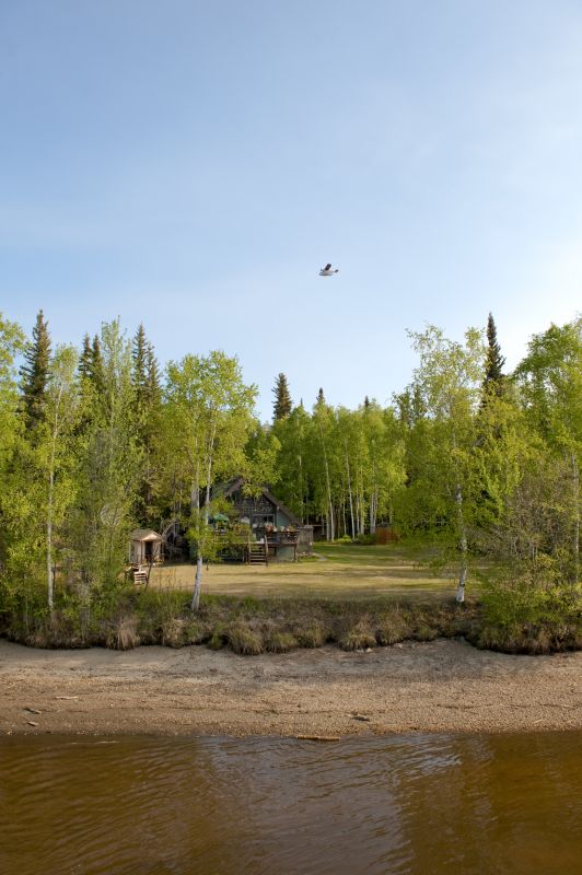 Land Clearing Service