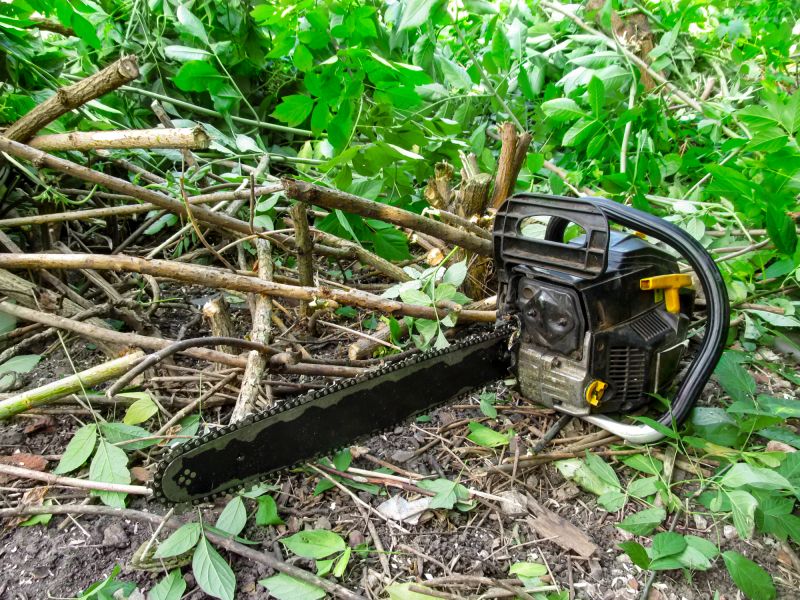 Tools You Actually Need